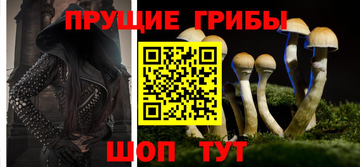 Галлюциногенные грибы ЛСД Заводоуковск